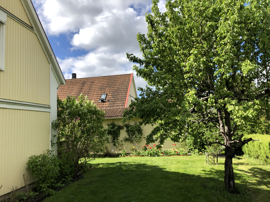 tomten